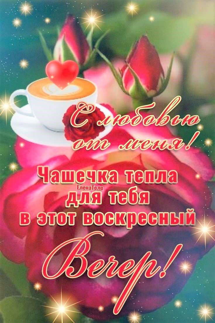 Открытка на вечер воскресенье. a pink rose with a tea cup on it and the words congratulations are in russian