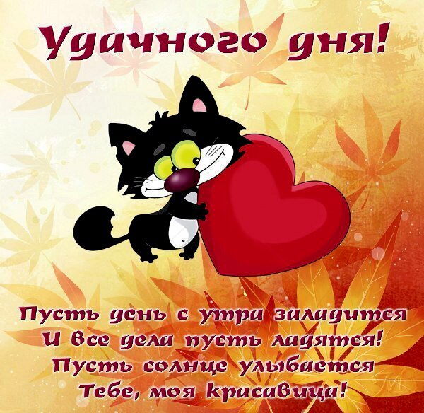 Милая открытка с черным котом и сердцем: «Удачного дня, моя красавица!». Теплое осеннее пожелание хорошего настроения и удачи в делах. Открытка Хорошего дня Красочная поздравительная открытка с милым черным котом, обнимающим большое красное сердце. Фон украшен осенними кленовыми листьями в теплых тонах. На картинке расположен вдохновляющий текст на русском языке: «Удачного дня! Пусть день с утра заладится и все дела пусть ладятся! Пусть солнце улыбается Тебе, моя красавица!»