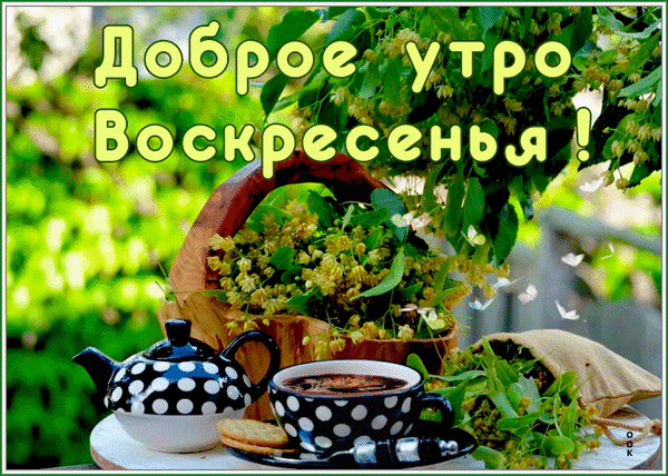 Открытка «Доброе утро Воскресенья!»: уютный натюрморт с чашкой кофе, чайником в горошек и ароматными цветами липы. Прекрасное пожелание доброго утра! Анимированная открытка Всем доброго воскресного утра, хорошего настроения, мира, счастья и добра! Красивая поздравительная открытка с надписью «Доброе утро Воскресенья!» на фоне цветущей липы. На переднем плане уютный натюрморт: чашка кофе или чая с кружочками в горошек, стильный заварочный чайник в тон и корзинка с ароматными цветами липы. Атмосферное летнее утро, создающее ощущение спокойствия, тепла и уюта