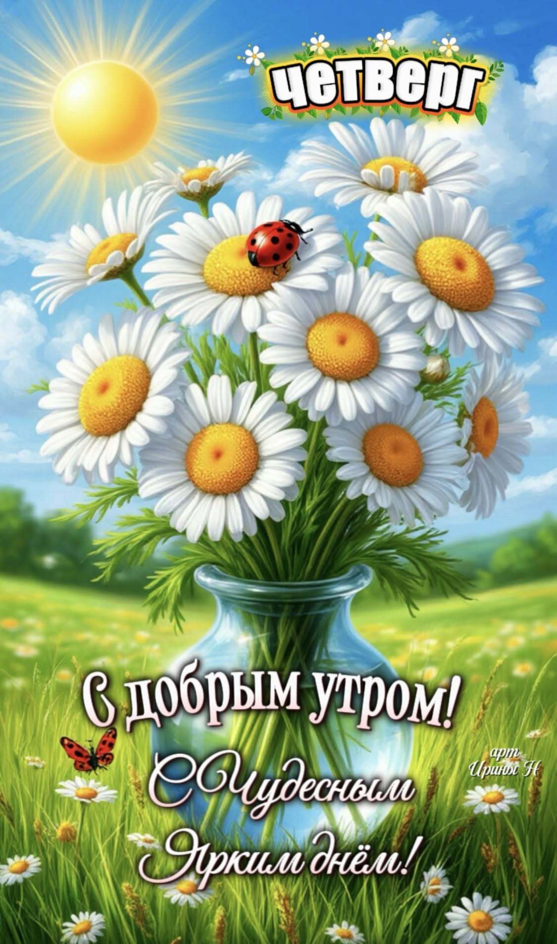Открытка на четверг. Ромашки. С чудесным ярким днем!