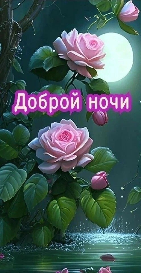 Открытка спокойной ночи. Розовые розы и Луна.