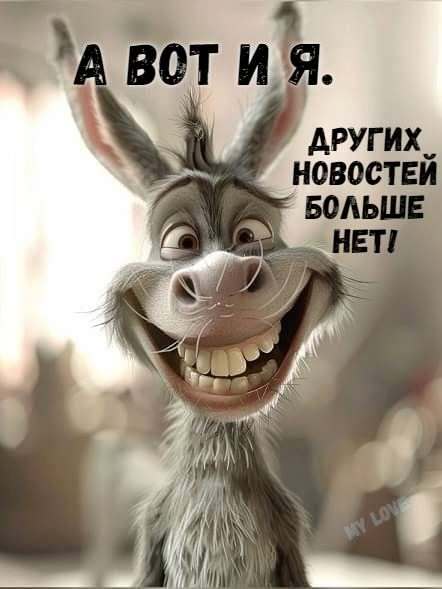 Открытка привет. А вот и я. Других новостей больше нет! Веселый ослик.