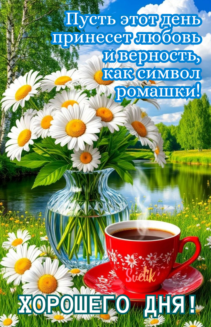 Открытка хорошего дня и настроения. Ромашки, кофе.