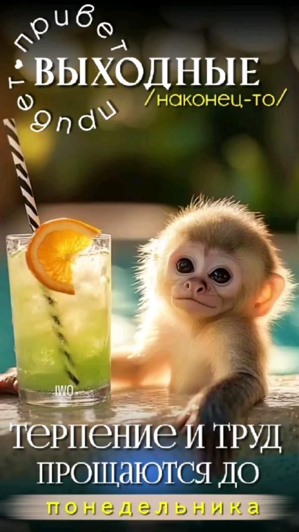 Открытка отличных выходных. #выходные #мемы выходные a monkey sitting next to an orange drink