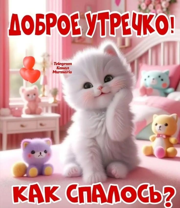 Открытка с добрым утром. Котенок спрашивает, как спалось. Открытка с добрым утром. Котенок спрашивает, как спалось.