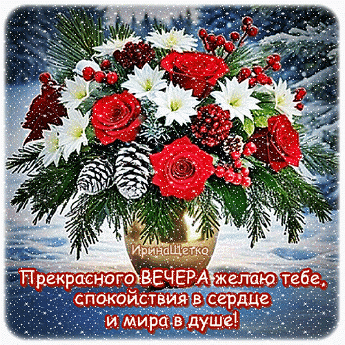 Зимняя открытка с букетом красных роз и белых цветов. Пожелание прекрасного вечера, спокойствия в сердце и мира в душе на фоне снежного пейзажа. Анимированная открытка Добрый вечер! Красивая праздничная открытка с пышным зимним букетом в золотистой вазе. Композиция включает ярко-красные розы, белоснежные хризантемы, вечнозеленые еловые ветви, красные ягоды и шишки, припорошенные инеем. На фоне — зимний пейзаж с эффектом падающего снега. На изображении размещена поздравительная надпись на русском языке: «Прекрасного ВЕЧЕРА желаю тебе, спокойствия в сердце и мира в душе!» Зимняя открытка с букетом красных роз и белых цветов. Пожелание прекрасного вечера, спокойствия в сердце и мира в душе на фоне снежного пейзажа. Анимированная открытка Добрый вечер! Красивая праздничная открытка с пышным зимним букетом в золотистой вазе. Композиция включает ярко-красные розы, белоснежные хризантемы, вечнозеленые еловые ветви, красные ягоды и шишки, припорошенные инеем. На фоне — зимний пейзаж с эффектом падающего снега. На изображении размещена поздравительная надпись на русском языке: «Прекрасного ВЕЧЕРА желаю тебе, спокойствия в сердце и мира в душе!»