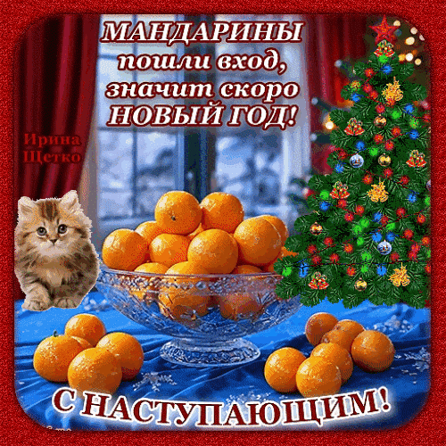 Новогодняя открытка с мандаринами, пушистым котенком и елкой. Поздравление: «Мандарины пошли вход, значит скоро Новый год! С наступающим!» Анимированная открытка С наступающим! Праздничная открытка с новогодним настроением. На изображении крупным планом изображена ваза с сочными мандаринами на фоне украшенной елки и уютного интерьера. Слева мило сидит рыжий котенок. На картинке размещен поздравительный текст на русском языке: «Мандарины пошли вход, значит скоро Новый год! С наступающим!»
