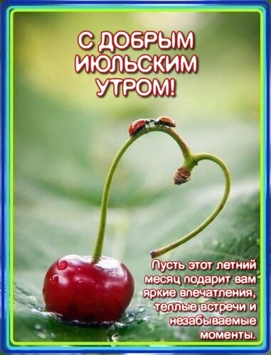 Яркая открытка «С добрым июльским утром!». Спелая вишня в форме сердца с божьими коровками и добрыми пожеланиями на лето. Идеально для поздравления! Открытка Пусть этот летний месяц подарит вам яркие впечатления, теплые встречи и незабываемые моменты. Красивая поздравительная открытка к июльскому утру. На изображении крупным планом изображена спелая красная вишня с капельками росы, чей хвостик изогнут в форме сердца. На изогнутом стебле сидят два маленьких божьих коровки. Фон мягкий, размытый, в зеленых летних тонах. На картинке размещен праздничный текст на русском языке: «С добрым июльским утром!» и пожелание ярких впечатлений, теплых встреч и незабываемых моментов в этом летнем месяце