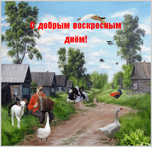 Поздравительная открытка «С добрым воскресным днем!»: уютный деревенский пейзаж, животные, музыка и атмосфера радости для ваших близких. Анимированная открытка С добрым воскресным днем! Красочная поздравительная открытка с надписью «С добрым воскресным днем!», выполненная в деревенском стиле. На фоне живописного сельского пейзажа с деревянными избами, зелеными лугами и облачным небом изображены мирные сцены деревенской жизни: корова, отдыхающая на траве, белые гуси, ягненок и петух. Мужчина в красной рубашке играет на аккордеоне, создавая атмосферу уюта и радости