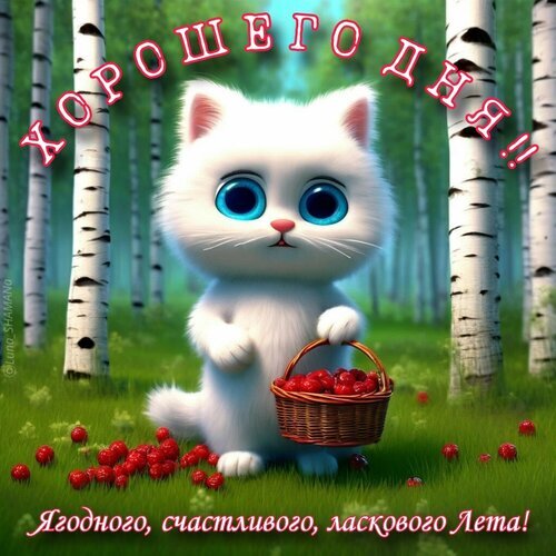 Милый белый котенок с корзинкой ягод в березовом лесу. Открытка с пожеланием счастливого, ягодного и ласкового лета! Открытка Хорошего дня Милая цифровая иллюстрация с пушистым белым котенком с огромными голубыми глазами, стоящим в березовой роще. Котенок держит корзинку с сочной красной земляникой. На картинке праздничная надпись на русском языке: «ХОРОШЕГО ГОДА!! Ягодного, счастливого, ласкового Лета!»