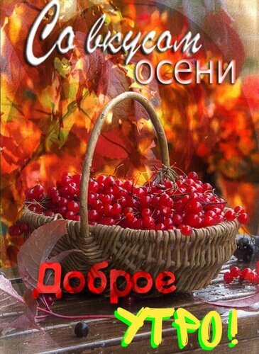 Осенняя открытка «Доброе утро!» с корзиной красной рябины и надписью «Со вкусом осени». Уютное изображение в теплых осенних тонах для поздравлений. Открытка Со вкусом осени. Доброе утро! Уютная осенняя открытка с корзиной спелой красной рябины на фоне яркой осенней листвы. На изображении расположены надписи на русском языке: «Со вкусом осени» сверху и «Доброе утро!» снизу. Теплая цветовая гамма, сочетающая оттенки красного, оранжевого и золотого, создает атмосферу уюта и осеннего настроения Осенняя открытка «Доброе утро!» с корзиной красной рябины и надписью «Со вкусом осени». Уютное изображение в теплых осенних тонах для поздравлений. Открытка Со вкусом осени. Доброе утро! Уютная осенняя открытка с корзиной спелой красной рябины на фоне яркой осенней листвы. На изображении расположены надписи на русском языке: «Со вкусом осени» сверху и «Доброе утро!» снизу. Теплая цветовая гамма, сочетающая оттенки красного, оранжевого и золотого, создает атмосферу уюта и осеннего настроения