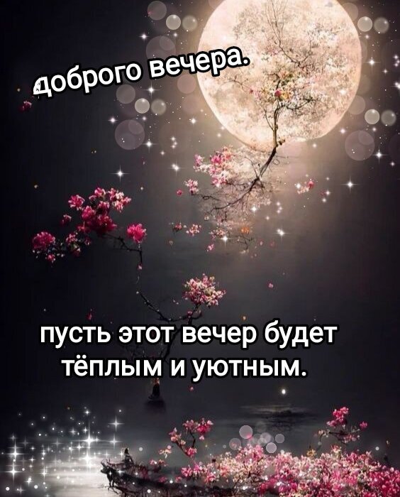 Красивая открытка «Доброго вечера» с цветущей сакурой и полной луной. Пожелание теплого и уютного вечера в волшебной ночной атмосфере. Открытка Доброго вечера. пусть этот вечер будет теплым и уютным Эстетичная поздравительная открытка с пожеланием доброго вечера. На изображении запечатлен сказочный ночной пейзаж: огромная светящаяся полная луна в небе, ветви цветущей сакуры с розовыми цветами и мерцающие искры звездного света. В верхней части картинки надпись «Доброго вечера», а в нижней — «Пусть этот вечер будет теплым и уютным» Красивая открытка «Доброго вечера» с цветущей сакурой и полной луной. Пожелание теплого и уютного вечера в волшебной ночной атмосфере. Открытка Доброго вечера. пусть этот вечер будет теплым и уютным Эстетичная поздравительная открытка с пожеланием доброго вечера. На изображении запечатлен сказочный ночной пейзаж: огромная светящаяся полная луна в небе, ветви цветущей сакуры с розовыми цветами и мерцающие искры звездного света. В верхней части картинки надпись «Доброго вечера», а в нижней — «Пусть этот вечер будет теплым и уютным»
