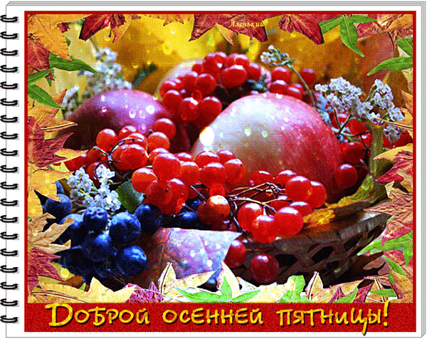 Осенний натюрморт с ягодами, яблоками и кленовыми листьями. Поздравительная открытка с надписью «Доброй осенней пятницы!» для душевного настроения. Анимированная открытка Доброй осенней пятницы! Красочное осеннее натюрмортное изображение, наполненное теплом и уютом. На переднем плане представлена пышная корзина с сочными красными ягодами (вишней или смородиной), крупными спелыми яблоками и темным виноградом. Композиция обрамлена яркими осенними кленовыми листьями золотистых, красных и желтых оттенков. В нижней части изображения расположена поздравительная надпись на русском языке: «Доброй осенней пятницы!», выполненная стильным шрифтом