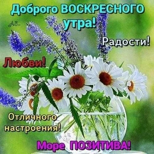 Красивая открытка с букетом ромашек и пожеланиями доброго воскресного утра, радости, любви и море позитива. Идеально для праздничного настроения! Открытка Доброе воскресное утро! Радости! Любви! Отличного настроения! Красочная открытка с пожеланием доброго воскресного утра. На изображении представлен изысканный букет из белоснежных ромашек и высоких фиолетовых цветов в прозрачной стеклянной вазе. Текст на картинке гласит: «Доброго воскресного утра! Радости! Любви! Отличного настроения! Море позитива!»