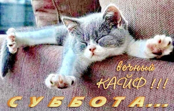Милый спящий котенок на диване с надписью «Вечный кайф!!! Суббота...». Идеальная картинка для настроения выходного дня и уютного отдыха. Открытка Вечный кайф! суббота... Милое изображение спящего серого котенка, уютно растянувшегося на мягком диване. На картинке наложен текст на русском языке: «вечный КАЙФ!!! СУББОТА...», что создает атмосферу расслабленности, отдыха и субботнего уюта Милый спящий котенок на диване с надписью «Вечный кайф!!! Суббота...». Идеальная картинка для настроения выходного дня и уютного отдыха. Открытка Вечный кайф! суббота... Милое изображение спящего серого котенка, уютно растянувшегося на мягком диване. На картинке наложен текст на русском языке: «вечный КАЙФ!!! СУББОТА...», что создает атмосферу расслабленности, отдыха и субботнего уюта