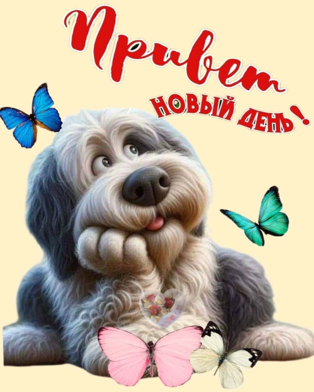 Открытка с добрым утром. Привет, новый день! Собачка с бабочками. Открытка с добрым утром. Привет, новый день! Собачка с бабочками.