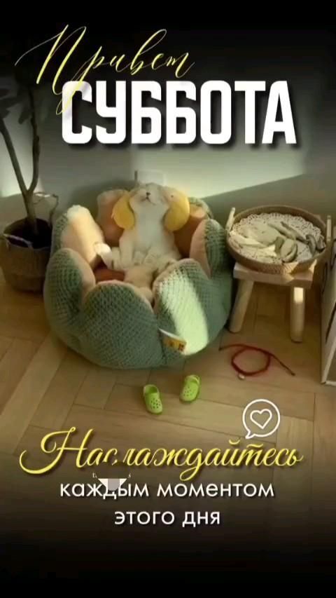 Открытка на субботу. доброе#утро сУббОтА a stuffed animal sitting on top of a chair in front of a table with scissors