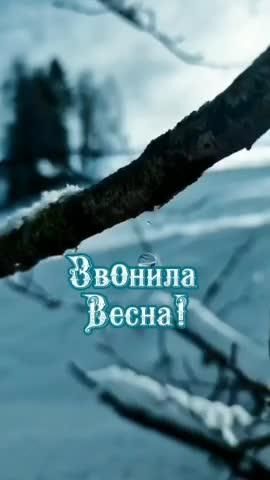 Открытка на Весну. открытки Звонила весна! a tree branch with snow on the ground and trees in the background that reads, russian becha