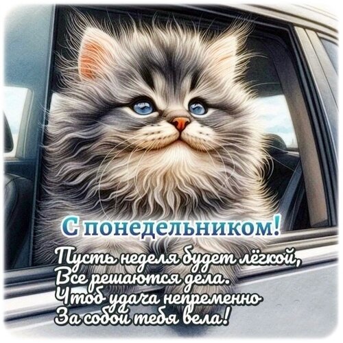 Милая открытка с котенком: «С понедельником! Пусть неделя будет легкой...». Доброе пожелание на начало недели для соцсетей и мессенджеров. Открытка С понедельником! Милая и пушистая картинка с изображением очаровательного серого котенка, выглядывающего из окна автомобиля. На изображении наложен праздничный текст на русском языке: «С понедельником! Пусть неделя будет легкой, все решаются дела, чтоб удача непременно за собой тебя вела!». Идеально подходит для отправки друзьям, близким и коллегам в мессенджерах (WhatsApp, Telegram) или для публикации в социальных сетях в качестве доброго пожелания на начало рабочей недели