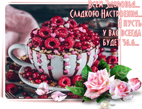 Открытка с пожеланием здоровья и сладкого настроения: чашка малины, розовые розы и добрые слова для близких. Идеально для WhatsApp и соцсетей. Анимированная открытка Всем здоровья и сладкого настроения! И пусть у вас всегда будет 36,6 Красочная поздравительная открытка с изображением чашки, наполненной спелой малиной и ягодами, украшенная нежными розовыми розами и сердечками. На картинке расположен теплый пожелательный текст на русском языке: «Всем здоровья... сладкого настроения... и пусть у вас всегда будет 36.6...»