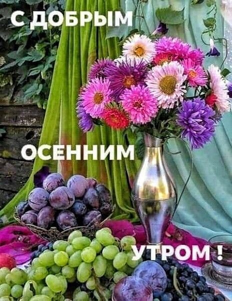 Яркая осенняя открытка «С добрым осенним утром!» с букетом хризантем, виноградом и сливами. Уютное пожелание для соцсетей и мессенджеров. Открытка С добрым осенним утром Красочное осеннее приветствие с ярким букетом розовых и фиолетовых хризантем в серебристой вазе. На переднем плане — спелый виноград и темные сливы в корзинке, создающие атмосферу уюта и изобилия. На фоне — нежные зеленые и бирюзовые ткани