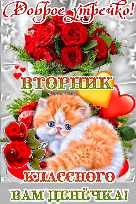 Доброе утро! Поздравительная открытка на вторник с милым рыжим котенком, красными розами и пожеланием хорошего дня. Идеально для мессенджеров и соцсетей. Открытка Доброе утречко Вторника! Красочная поздравительная открытка на вторник с милым рыжим котенком и букетом красных роз. На изображении расположены надписи на русском языке: «Доброе утро!», «Вторник» и пожелание «Классного вам денежка!»