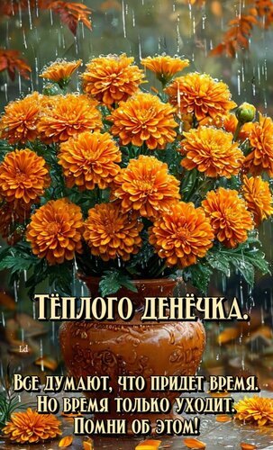 Осенний букет оранжевых бархатцев под дождем с философской цитатой о времени. Красивая картинка для осеннего настроения и душевных пожеланий. Открытка Теплого денечка Красивое осеннее изображение с букетом ярко-оранжевых бархатцев в глиняной вазе под каплями дождя. На картинке нанесен текст на русском языке с философским подтекстом о скоротечности времени