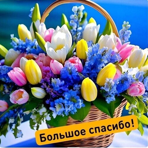 Яркий букет тюльпанов и синих цветов в корзине с надписью «Большое спасибо!». Идеальная открытка для выражения благодарности и теплых пожеланий. Открытка Спасибо большое Красочный и яркий букет весенних цветов в плетеной корзинке. Композиция включает нежные тюльпаны желтого, розового и белого цветов, дополненные пышными синими соцветиями