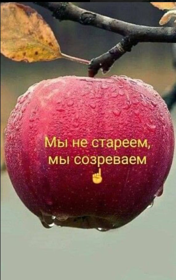 Открытка на юбилей. an apple hanging from a tree with the words in russian on it's side