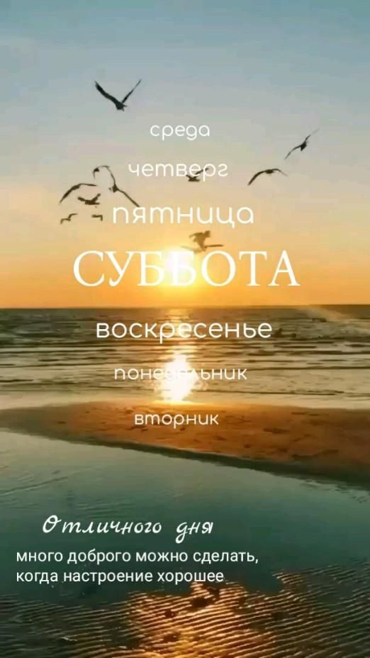 Открытка на субботу. суббота a poster with birds flying in the sky over water and sand at sunset on an ocean beach