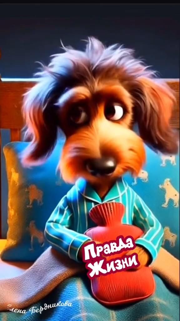 Пожелания на каждый день. 🔥 Минутка позитива a cartoon dog sitting on top of a bed