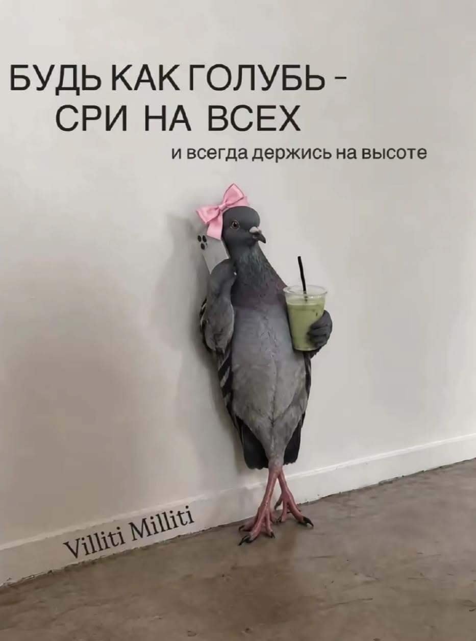 Пожелания на каждый день. Наглый голубь.