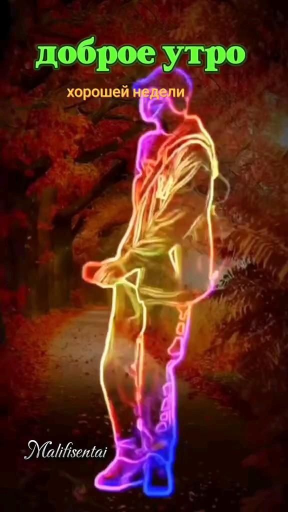Открытка на понедельник. #доброеутро доброе утро a man standing in the middle of a forest