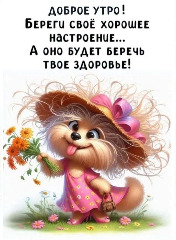 Открытка с добрым утром. Собачка в шляпке. Открытка с добрым утром. Собачка в шляпке.