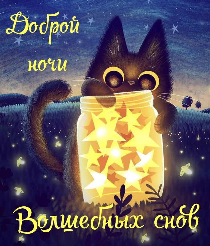 Открытка спокойной ночи. #добройночи #спокойнойночи #спокойной #ночи #ночь #летняяночь #сон #волшебство Доброй ночи Волшебных снов a cat is holding a jar with stars on it