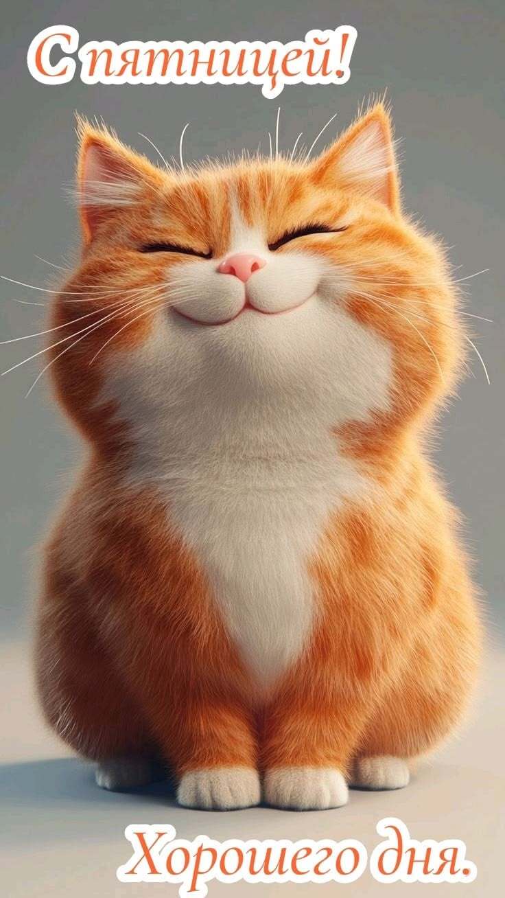 Открытка на пятницу. Довольный рыжий кот.