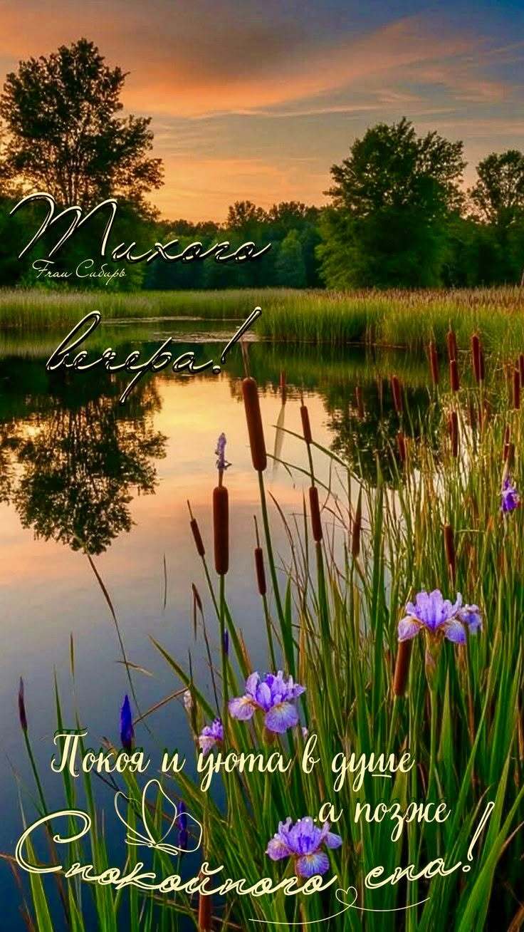 Открытка добрый вечер. a lake with purple flowers in the foreground and green grass on the other side