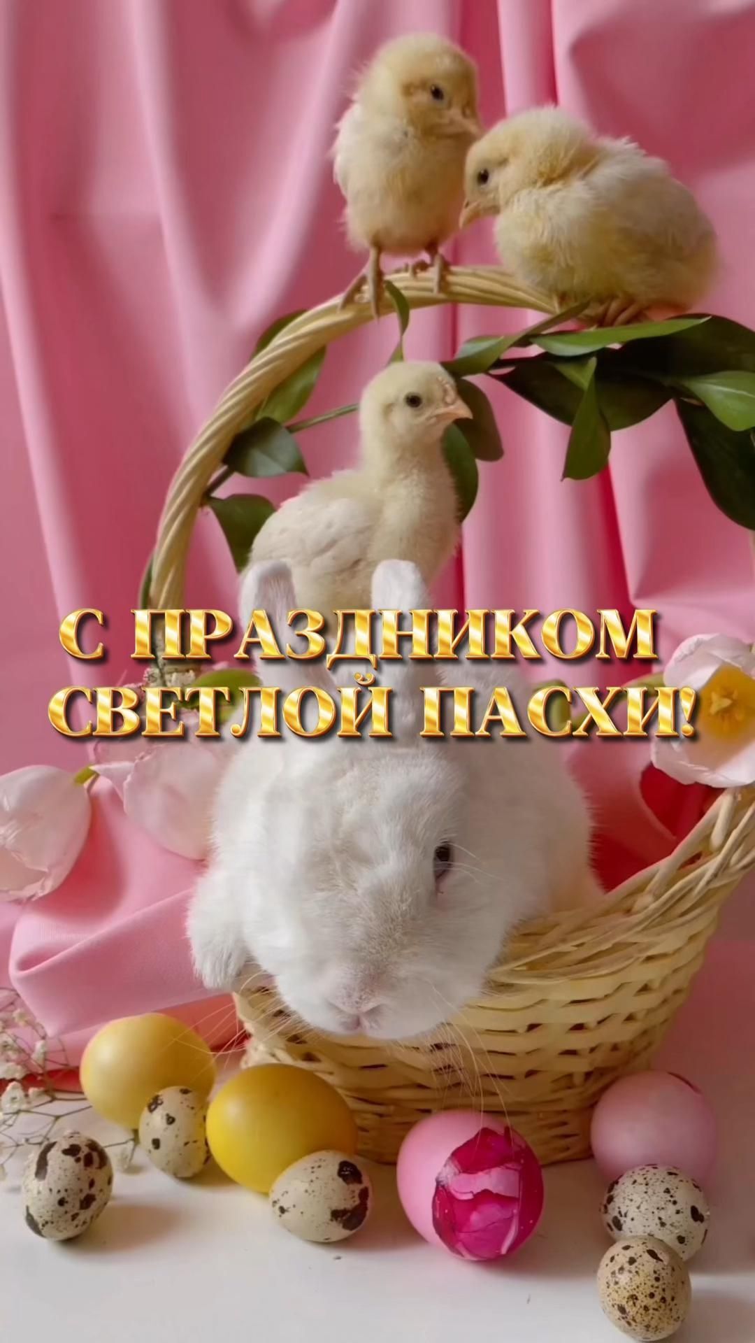 Открытка на Пасху. Пасха 🐣 поздравление с Пасхой сторис a small white rabbit sitting in a basket with eggs and chicks on the table next to it Открытка на Пасху. Пасха 🐣 поздравление с Пасхой сторис a small white rabbit sitting in a basket with eggs and chicks on the table next to it