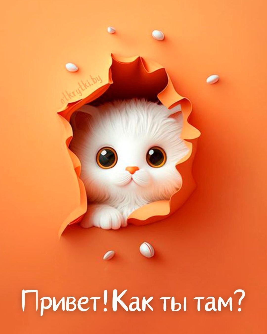 Открытка привет. a white kitten peeking out from behind a hole in an orange paper with the words, russian kak ti tam?