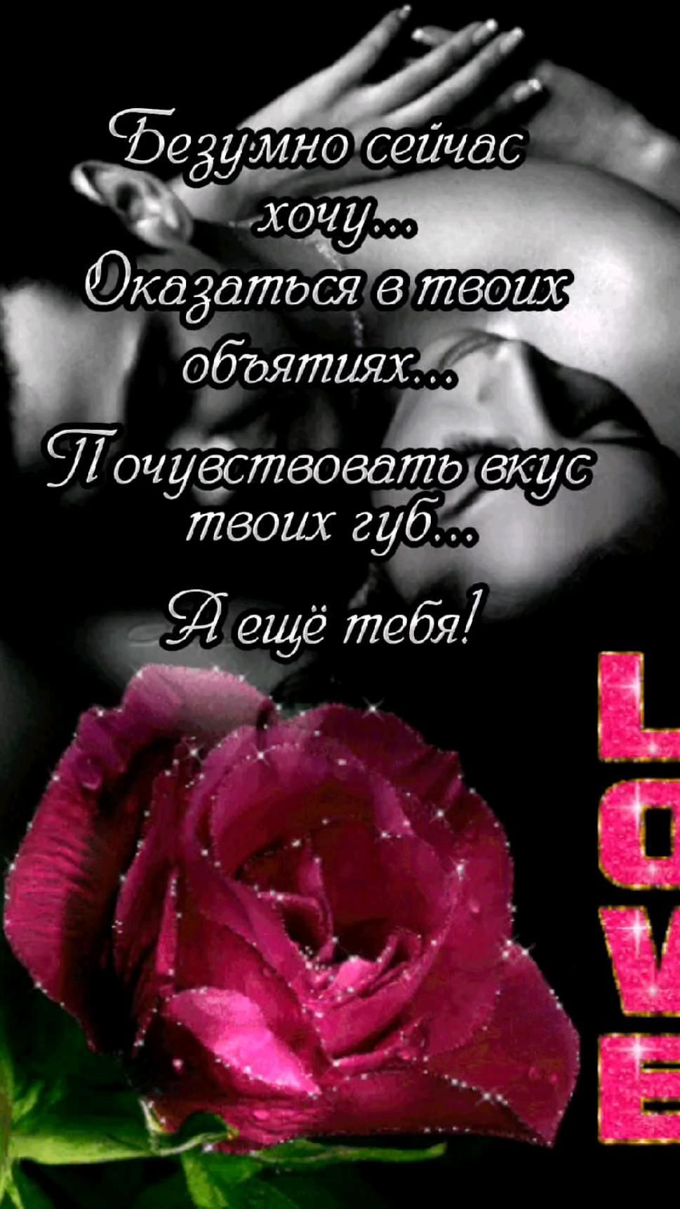 Открытка люблю тебя. цтаты a pink rose sitting in front of a black background with the words love on it