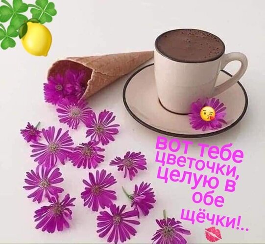 Уютная открытка с чашкой кофе, фиолетовыми цветами и нежным пожеланием: Вот тебе цветочки, целую в обе щечки!... Идеально для доброго утра и нежности. Открытка Вот тебе цветочки, целую в обе щечки!.. Эстетичное и нежное изображение, наполненное весенним настроением. На светлом фоне уютно расположились чашка горячего кофе (или какао) на блюдце, вафельный рожок, наполненный яркими фиолетовыми цветами астр, и рассыпанные по поверхности лепестки. В верхнем углу заметен акцент в виде лимона и зелени. На картинке присутствует милая надпись на русском языке: Вот тебе цветочки, целую в обе щечки!.., дополненная эмодзи поцелуя Уютная открытка с чашкой кофе, фиолетовыми цветами и нежным пожеланием: Вот тебе цветочки, целую в обе щечки!... Идеально для доброго утра и нежности. Открытка Вот тебе цветочки, целую в обе щечки!.. Эстетичное и нежное изображение, наполненное весенним настроением. На светлом фоне уютно расположились чашка горячего кофе (или какао) на блюдце, вафельный рожок, наполненный яркими фиолетовыми цветами астр, и рассыпанные по поверхности лепестки. В верхнем углу заметен акцент в виде лимона и зелени. На картинке присутствует милая надпись на русском языке: Вот тебе цветочки, целую в обе щечки!.., дополненная эмодзи поцелуя