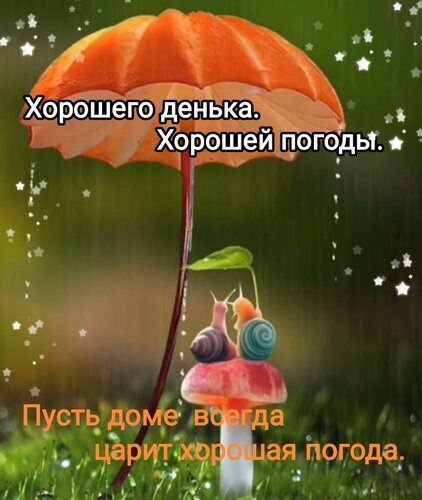 Милая открытка с улитками под грибом-зонтом. Пожелание хорошей погоды и уюта в доме. Позитивное изображение для поднятия настроения. Открытка Хорошего денька. Хорошей погоды. Пусть в доме царит хорошая погода. Картинка-открытка с уютным и позитивным настроением. На фоне зеленой травы изображен большой оранжевый гриб, который служит зонтом для двух маленьких улиток, сидящих на другом, маленьком красном грибе. Вокруг падают капли дождя и сияют белые звездочки. На изображении наложен текст на русском языке: «Хорошего денька. Хорошей погоды. Пусть дома всегда царит хорошая погода»