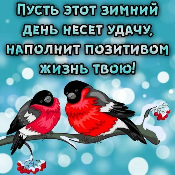 Зимняя открытка с птицами на ветке рябины и пожеланием удачи и позитива. Красивое вдохновляющее изображение для зимнего настроения. Открытка Пусть этот зимний ДЕНЬ Несет Удачу, Наполнит Позитивом жизнь твою! Красочная зимняя открытка с изображением двух симпатичных птиц, сидящих на заснеженной ветке рябины. На фоне — мягкий голубой боке-эффект с падающими снежинками. Сверху на картинке расположен вдохновляющий текст на русском языке: 