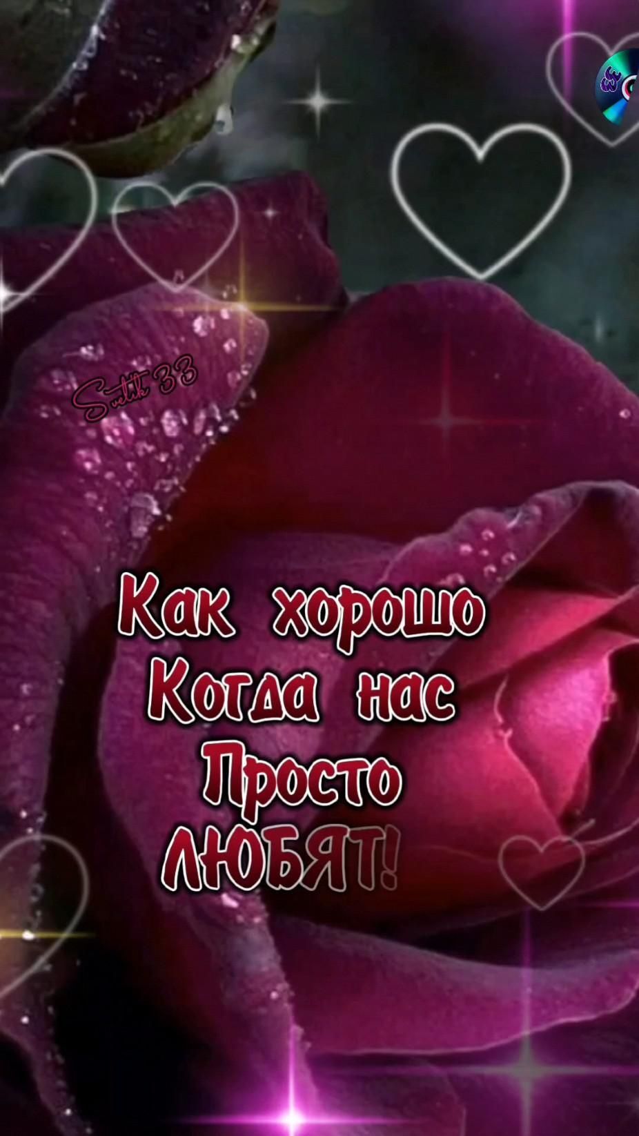 Пожелания на каждый день. Розы#цитаты a pink rose with hearts on it and the words, karx xppoiuo kora ha tropeo abbath