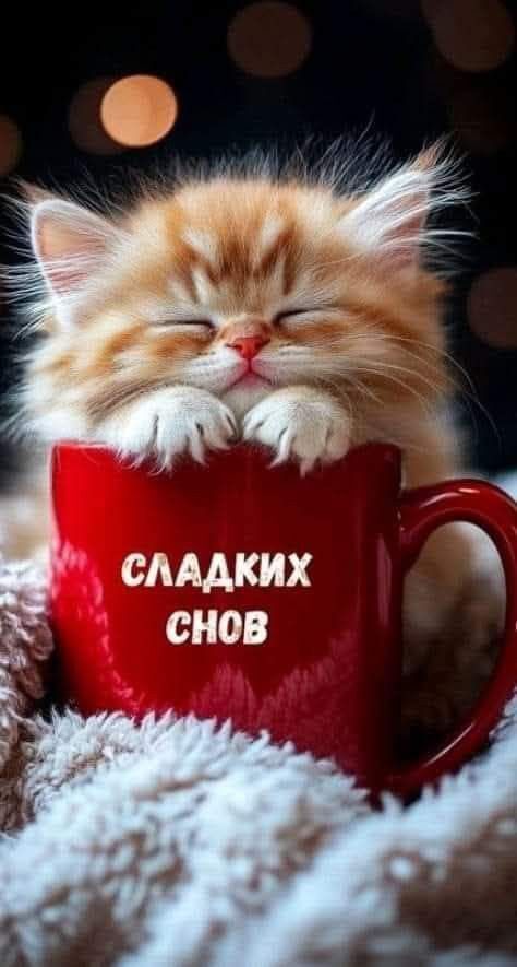Открытка спокойной ночи. Котенок с чашкой и Луна.