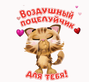 Открытка люблю тебя. GIF, a cat that is standing up with its paws on his face and the words boogaw
