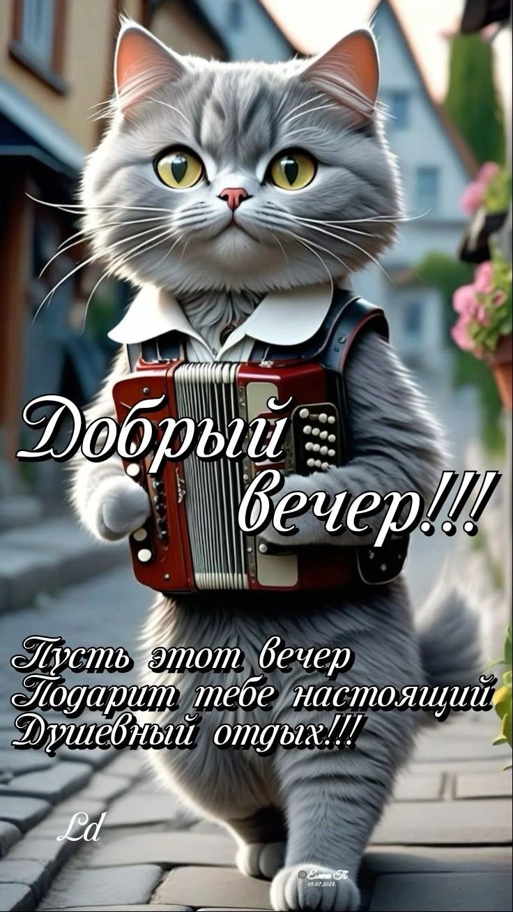 Открытка добрый вечер. a cat is holding an accordion in its paws while walking down the street with it's eyes open