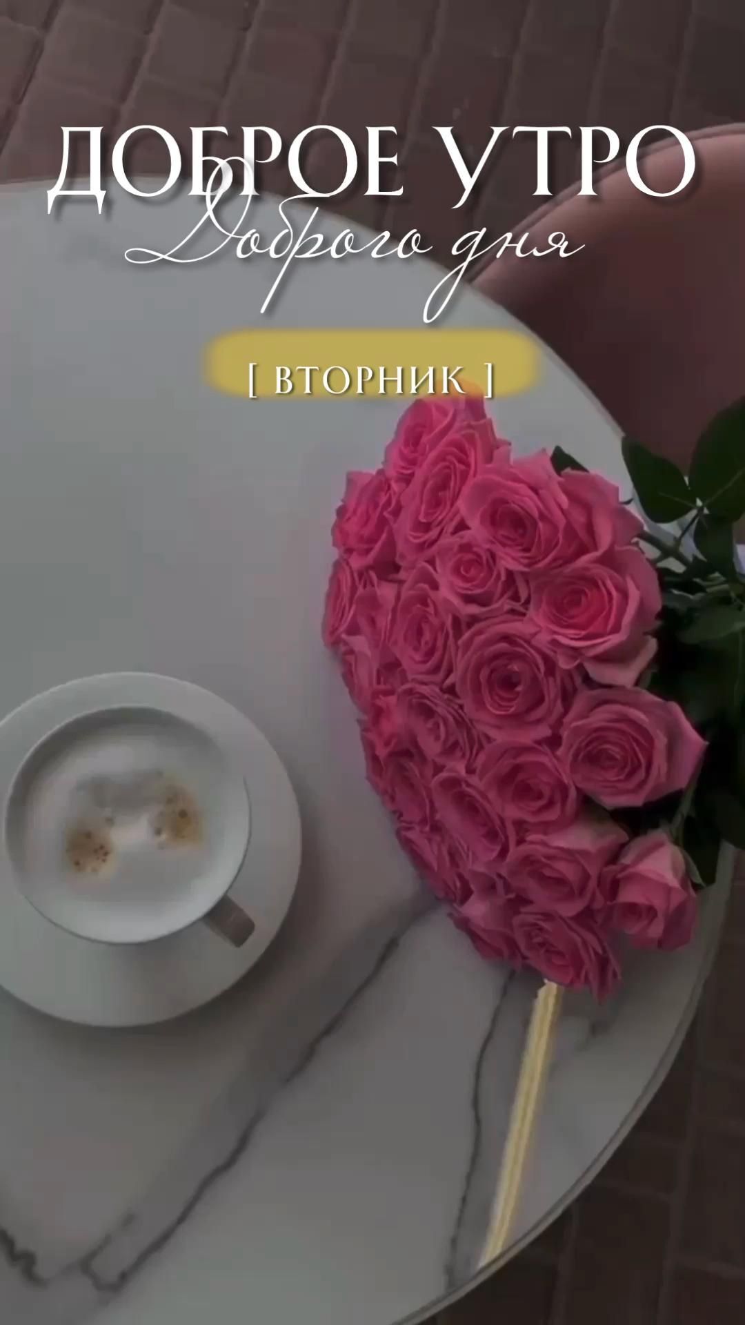 Открытка на вторник. #вторник #доброеутро #сторис Вторник доброе утро 🩷