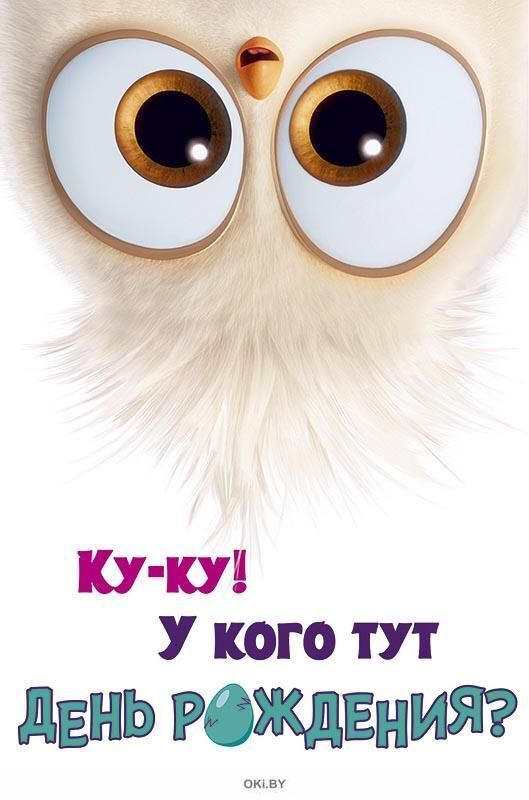 Открытка с днем рождения. an owl with big eyes is looking at the camera in front of a white background