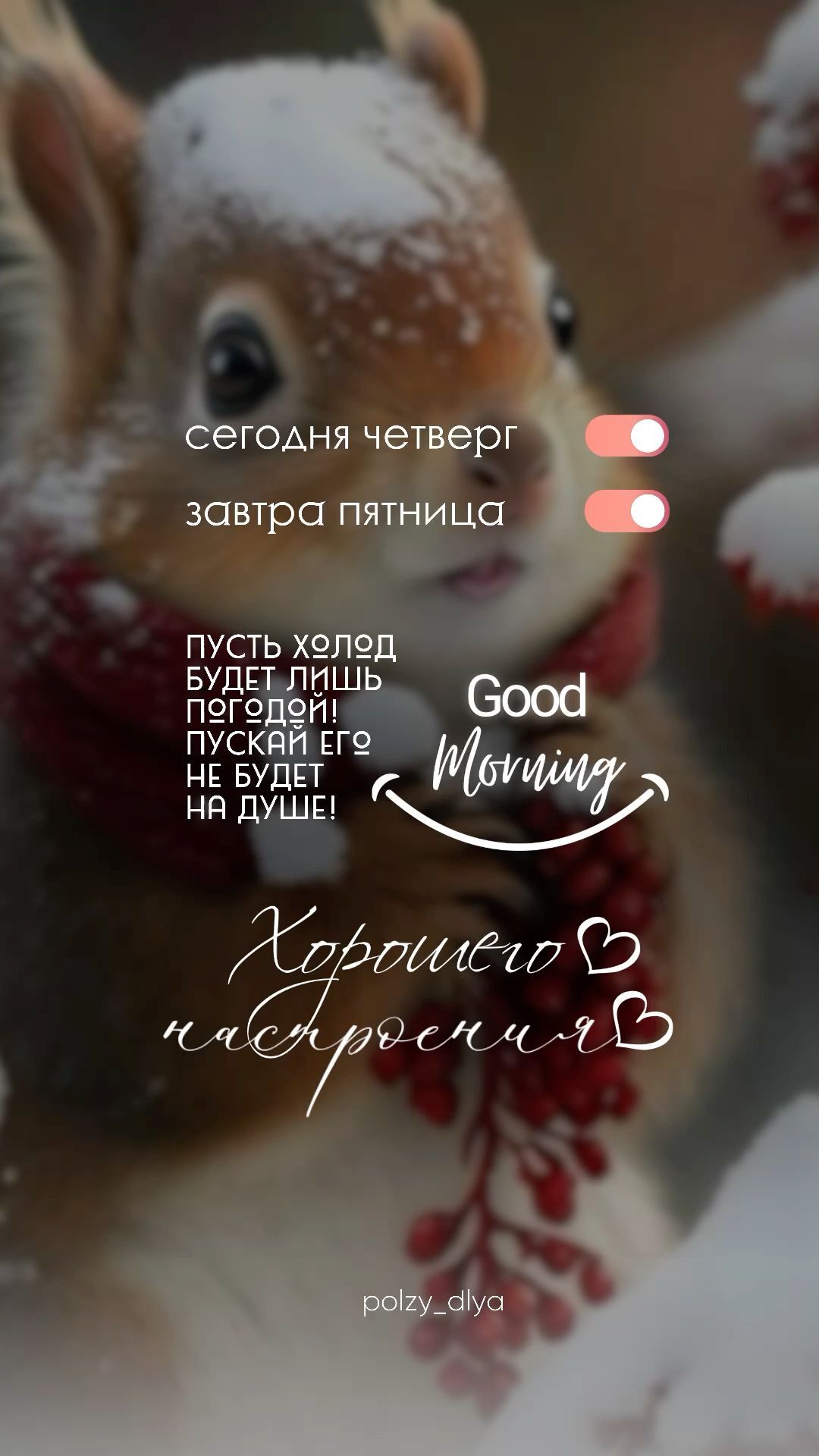 Открытка на четверг. Сторис доброе утро четверг an image of a squirrel with snow on it's face and the words good morning written in russian